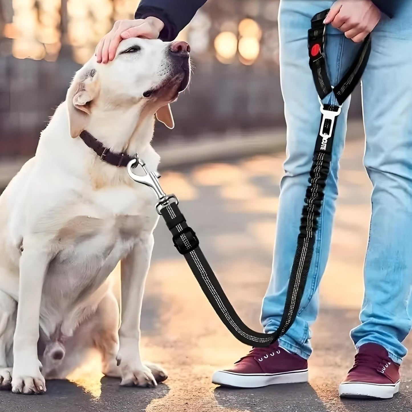 Lockleash: 2-in-1 Pet Leash and Seatbelt